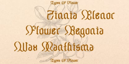 Chameton Font Poster 15