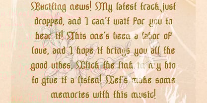 Chameton Font Poster 11