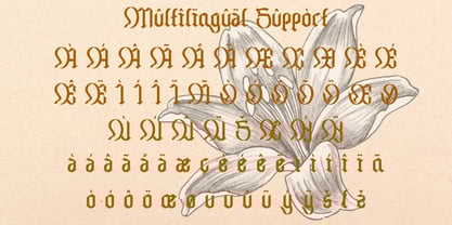 Chameton Font Poster 3