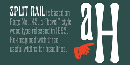 Split Rail Font Poster 2