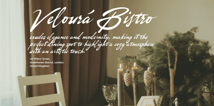 Gastroline Signature Font Poster 3