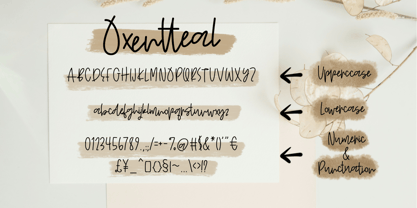 Oxentteal Font Poster 6