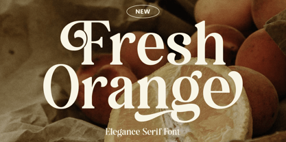 Bugalo Font Poster 3