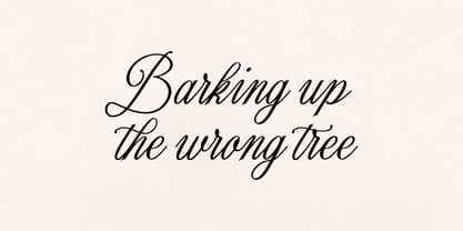 Romantyc Harmony Font Poster 4