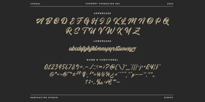 Candery Font Poster 14