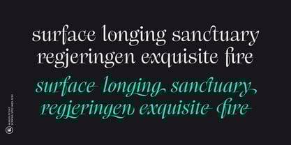 Scrifha Font Poster 14