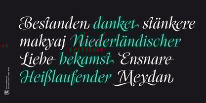 Scrifha Font Poster 4