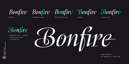 Scrifha Font Poster 5