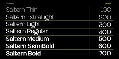 Saltern Font Poster 4