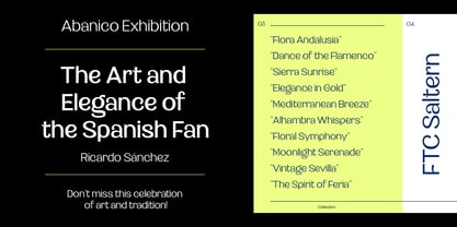 Saltern Font Poster 7