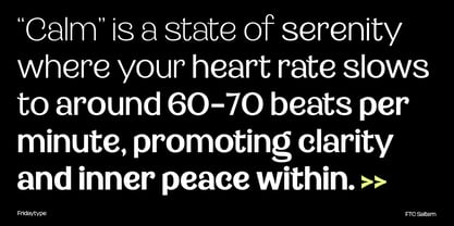 Saltern Font Poster 3