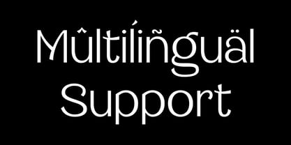 Saltern Font Poster 11