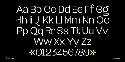 Saltern Font Poster 6