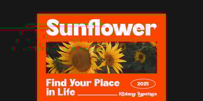 Kedano Font Poster 3