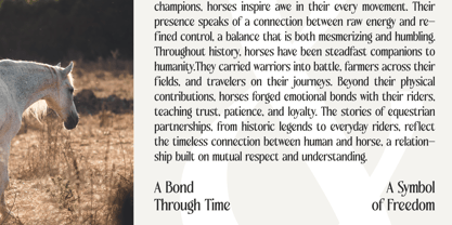 Qugotic Font Poster 6