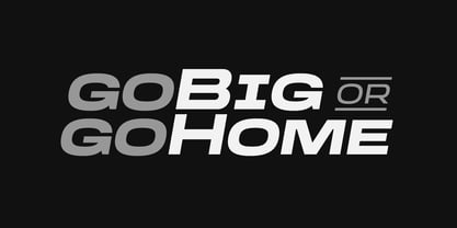 Digdaya Font Poster 4