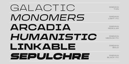 Digdaya Font Poster 5