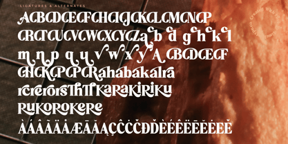 Aroma Baked Font Poster 14