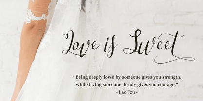 Angelica Script Font Poster 6