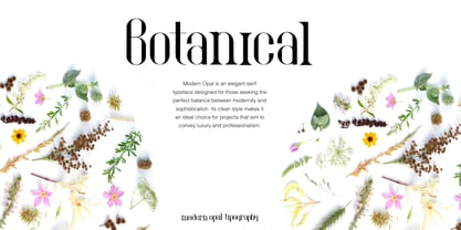 Modern Opal Font Poster 15