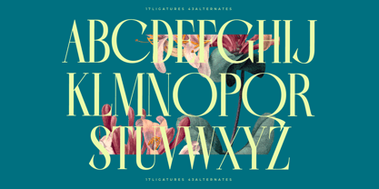 Balliome Font Poster 9