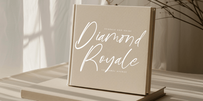 Goldbrush Delights Font Poster 10