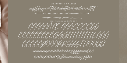 Goldbrush Delights Font Poster 14