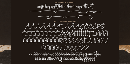 Holleday Font Poster 14