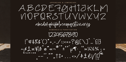 Holleday Font Poster 13