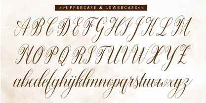 Warton Font Poster 10