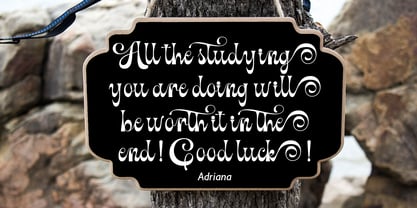 Bulgota Font Poster 7