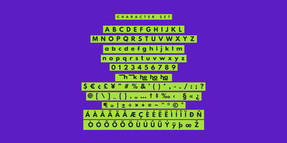 MC Qacho Checko Font Poster 7