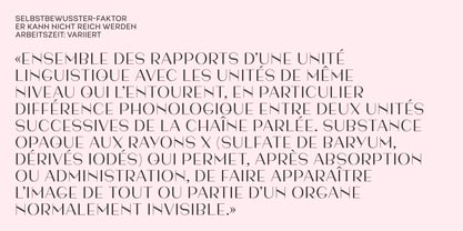 Sablon C Font Poster 8