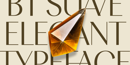 BT Suave Font Poster 4