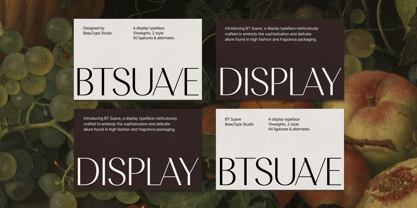 BT Suave Font Poster 10