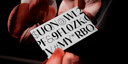 BT Suave Font Poster 6