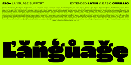 Cy Grotesk Std Font Poster 11