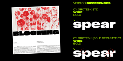 Cy Grotesk Std Font Poster 4