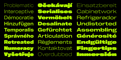 Cy Grotesk Std Font Poster 9