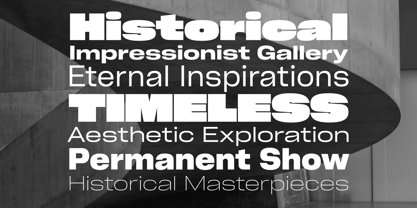 Cy Grotesk Std Font Poster 3