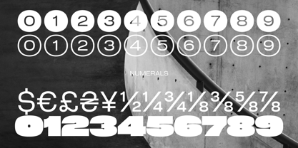 Cy Grotesk Std Font Poster 13