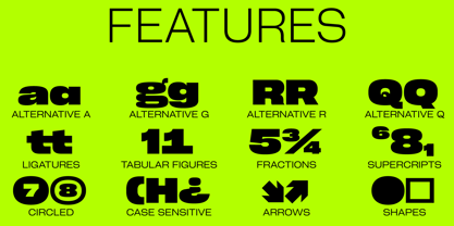 Cy Grotesk Std Font Poster 14