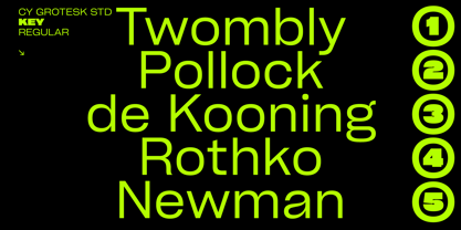 Cy Grotesk Std Font Poster 15