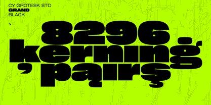 Cy Grotesk Std Font Poster 7