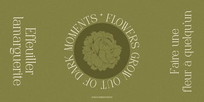 Frieren La Belle Font Poster 6