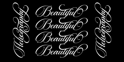 Beautiful Heliography Script Font Poster 9