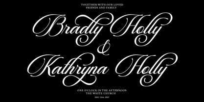 Beautiful Heliography Script Font Poster 2