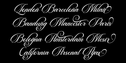 Beautiful Heliography Script Font Poster 4