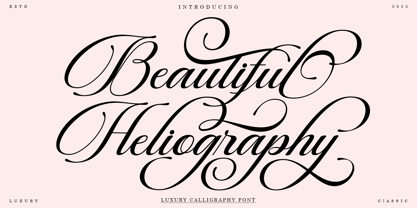 Beautiful Heliography Script Font Poster 12