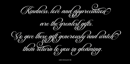 Beautiful Heliography Script Font Poster 11